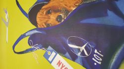  Polskie Linie Lotnicze LOT, pies w torbie, zielony, NYC_8