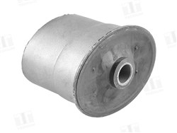  Rear trailing arm bushing (to carbody)_1