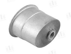  Rear trailing arm bushing (to carbody)_0