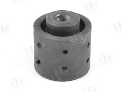 Mounting, differential TEDGUM 00089059