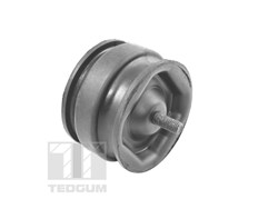 Mounting, engine TEDGUM 00221175