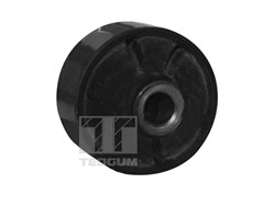 Mounting, control/trailing arm TEDGUM 00289727