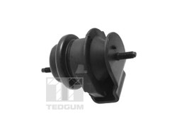 Mounting, engine TEDGUM TED95509