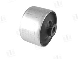  Lower front control arm bushing left / right (rear)_0