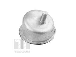 Mounting, engine TEDGUM TED43629