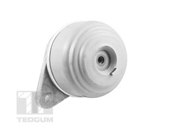 Mounting, engine TEDGUM TED37501