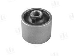  Rear axle differential mount bushing (right)_1