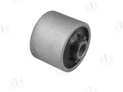  Rear axle differential mount bushing (right)_0