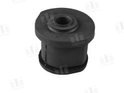  Lower front control arm bushing left / right (rear)_1