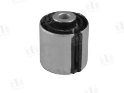  Rear lower lateral control arm bushing (inner)_1